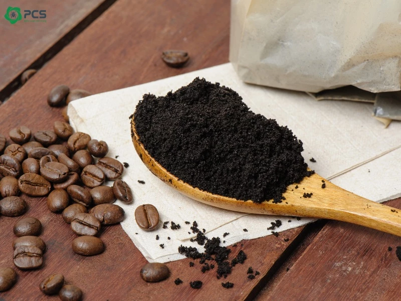Các biện pháp diệt muỗi 